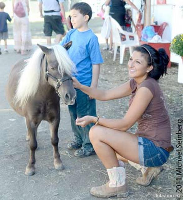 43086_horse-puppy.jpg